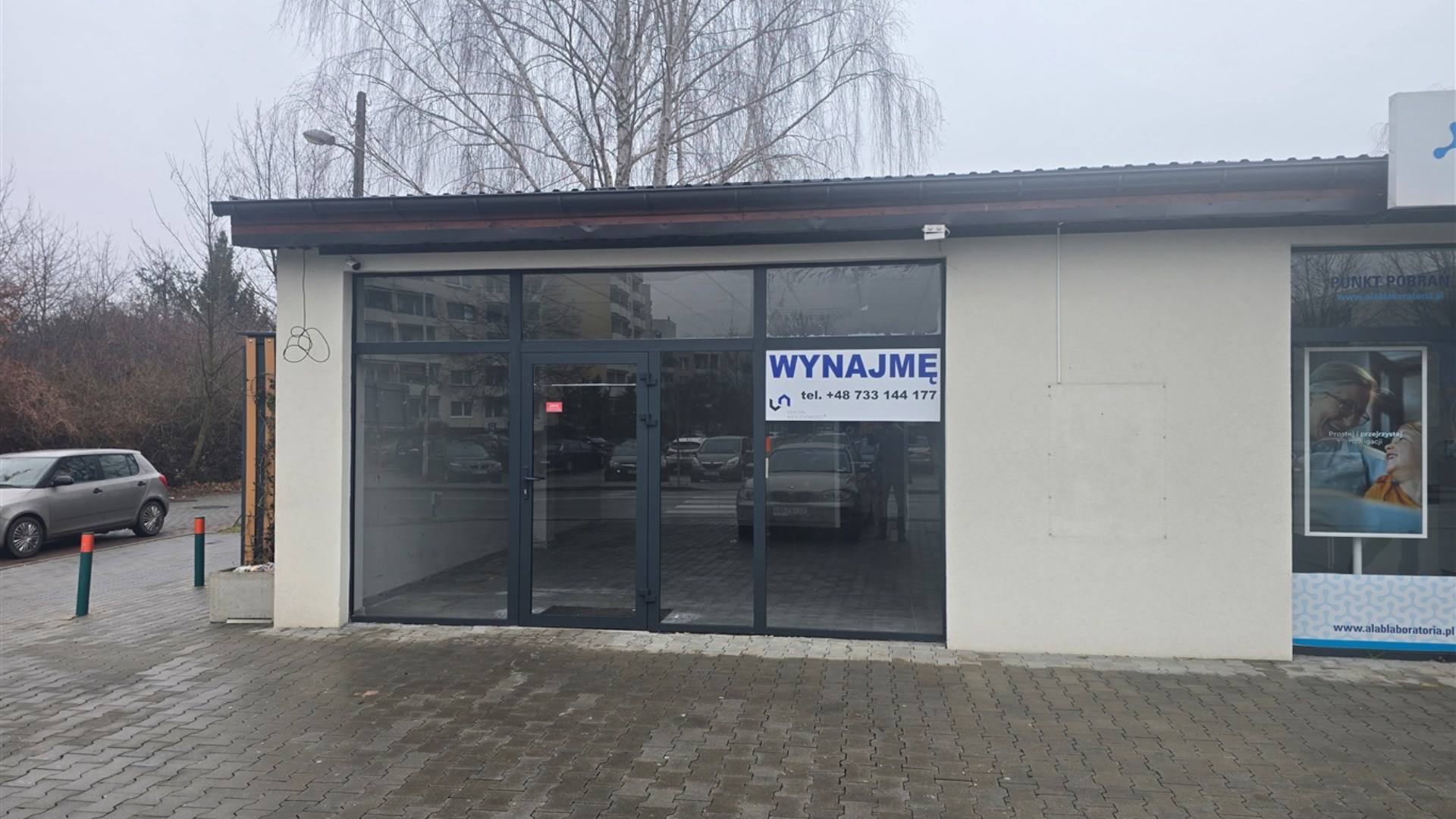 Lokal na wynajem